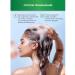 HAIR VITAL Set of shampoo and balm to strengthen and hair growth - Buy Online on GoSupps.com