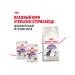 ROYAL CANIN Sterilized food for sterilized adult cats 2 kg - Buy Online on GoSupps.com