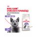 ROYAL CANIN Sterilized food for sterilized adult cats 2 kg - Buy Online on GoSupps.com
