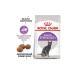 ROYAL CANIN Sterilized food for sterilized adult cats 2 kg - Buy Online on GoSupps.com