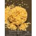 ARSALEYA Crispy dried onions - Buy Online on GoSupps.com