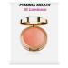 MILANI Baked blush Luminoso 05