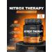 BioTechUSA NITROX Therapy 340 Persian