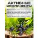 Honey and Jam Shikshi tincture (black water) 100 ml - Buy Online on GoSupps.com