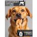 FOR RODENT DOG Dog treats bull -calf root 30 cm 100 g - Buy Online on GoSupps.com