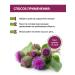 Sustarad Natural joint cream bank 150 ml - Buy Online on GoSupps.com