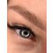 AS COMPANY BY ALINA SHAKHOVA As a step blond pigment for permanent eyebrow tattoo 6ml - Buy Online on GoSupps.com