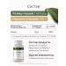 RESTARTBIO Iron Vitamins HEALAT (bislycinate) - Buy Online on GoSupps.com