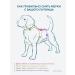 MOORLAND Popon postoperative for dogs female - Buy Online on GoSupps.com