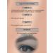 VIVIENNE SABO Brow Arcade eyebrow pencil gray-brown tone 07 - Buy Online on GoSupps.com