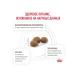 ROYAL CANIN Kitteen food for digestive disorders 2kg - Buy Online on GoSupps.com