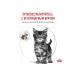 ROYAL CANIN Kitteen food for digestive disorders 2kg - Buy Online on GoSupps.com