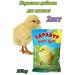 Your Farm Health Vitamin additive for chickens ducklings 250g *2pcs