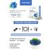 Healthy Family Siberia Blueberries vitamins for the eye and vision - Buy Online on GoSupps.com