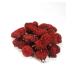 GrowUp Pomegranate (grenade launcher) 50 g - dried flowers herbal tea - Buy Online on GoSupps.com