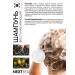 Nextbeau Hair restoring shampoo - Buy Online on GoSupps.com