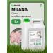 GRASS Liquid soap "milana antibacterial"