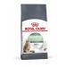 ROYAL CANIN Dry Digestive Care for cats 4 kg - Buy Online on GoSupps.com
