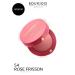 Bourjois Blusher blush tone 54 Rose Frisson