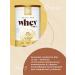 SOLGAR Protein cocktail Whey vanilla 338g - Buy Online on GoSupps.com