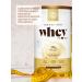 SOLGAR Protein cocktail Whey vanilla 338g - Buy Online on GoSupps.com