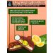 Yobaton Protein cookies without sugar JAMY PIE Lemon 60 g 4 pcs - Buy Online on GoSupps.com