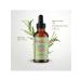 Mielle Organics Rosemary oil for hair growth - Buy Online on GoSupps.com