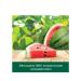 Soap Palmolive refreshing summer watermelon 6 pcs 90 g - Buy Online on GoSupps.com