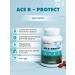 Art Life ACE R-PROTECT Highly efficient anti-distance complex - Buy Online on GoSupps.com