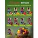 Fruit 800 g sugar pastille - Buy Online on GoSupps.com