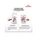 ROYAL CANIN Dry food for cats sterilized 2 kg steriliz - Buy Online on GoSupps.com