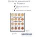 Kryolan Corrector in a mini -palette of 16 colors of the "Dermacolor" series