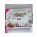 Jami Collagen Facial Set - Buy Online on GoSupps.com