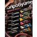 Pump UP Protein bars without sugar taste chocolate 12pcs of 60 g - Buy Online on GoSupps.com