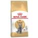 ROYAL CANIN Dry food for British cats 10kg - Buy Online on GoSupps.com