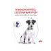 ROYAL CANIN Dry neuthed sterilized small dogs 0.8 kg - Buy Online on GoSupps.com