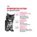 ROYAL CANIN Main Coon Kitten 36 food for kittens Mayn Kun 4 kg - Buy Online on GoSupps.com