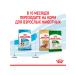 ROYAL CANIN Dry Mini Puppy food for small puppies 0.8 kg - Buy Online on GoSupps.com