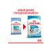 ROYAL CANIN Dry Mini Puppy food for small puppies 0.8 kg - Buy Online on GoSupps.com