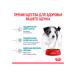 ROYAL CANIN Dry Mini Puppy food for small puppies 0.8 kg - Buy Online on GoSupps.com