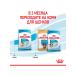 ROYAL CANIN Dry Mini Starter Feed Small Puppies Mini Starter 1 kg - Buy Online on GoSupps.com
