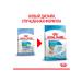 ROYAL CANIN Dry Mini Starter Feed Small Puppies Mini Starter 1 kg - Buy Online on GoSupps.com