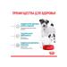 ROYAL CANIN Dry Mini Starter Feed Small Puppies Mini Starter 1 kg - Buy Online on GoSupps.com