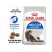 ROYAL CANIN Dry indoor food for long -haired cats 2 kg - Buy Online on GoSupps.com