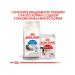 ROYAL CANIN Dry indoor food for long -haired cats 2 kg - Buy Online on GoSupps.com