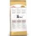 ROYAL CANIN Dry food British shorthair for cats British 10 kg - Buy Online on GoSupps.com