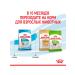 ROYAL CANIN Dry Feed X-Small Puppy for small puppies 0.5 kg - Buy Online on GoSupps.com