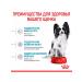 ROYAL CANIN Dry Feed X-Small Puppy for small puppies 0.5 kg - Buy Online on GoSupps.com