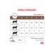 ROYAL CANIN Dry gastrointestinal fibre cats with constipation of 2 kg - Buy Online on GoSupps.com