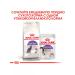 ROYAL CANIN Dry sterilated 37 food for sterilized cats 10 kg - Buy Online on GoSupps.com